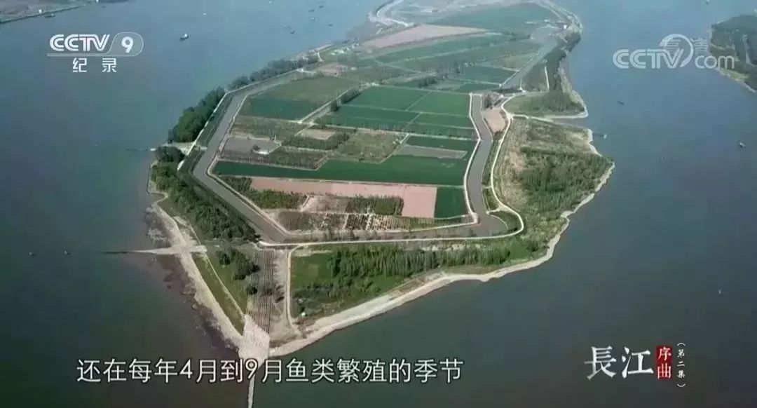 安貝斯<a href=http://m.zvgh.cn target=_blank class=infotextkey>控制臺</a>