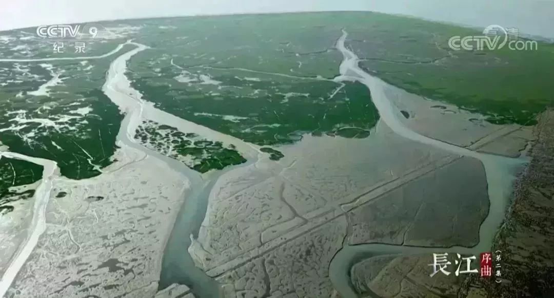 安貝斯<a href=http://m.zvgh.cn target=_blank class=infotextkey>控制臺</a>