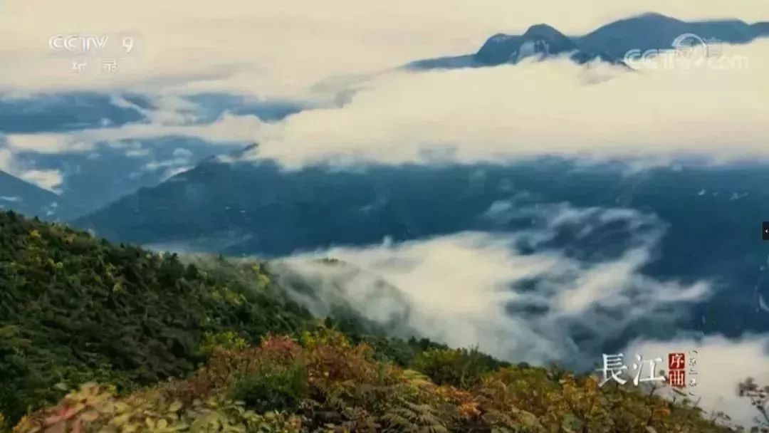 安貝斯<a href=http://m.zvgh.cn target=_blank class=infotextkey>控制臺</a>